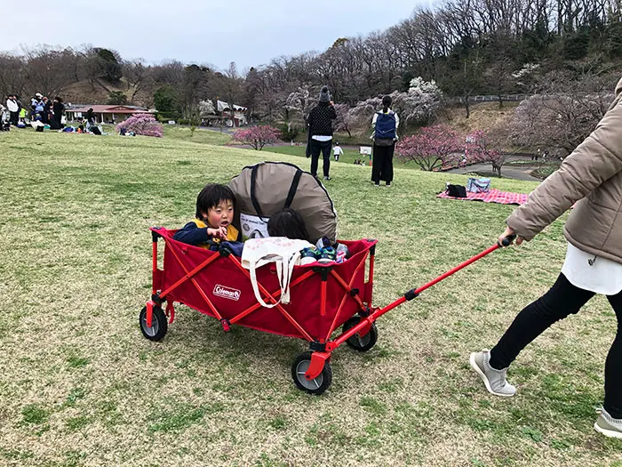 コストコ 甘辛い フォールディングワゴン アウトドアワゴン キャリーワゴン 折りたたみ