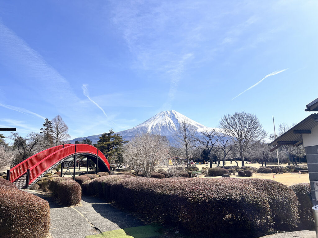 圧巻の富士山を拝めるキャンプ場