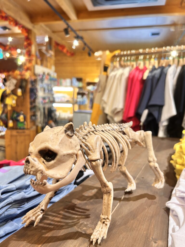 フロント棟はハロウィン一色