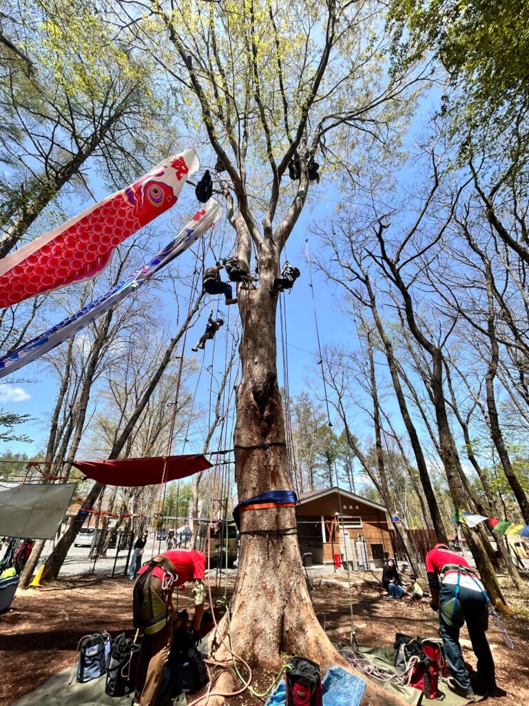 キャンプアンドキャビンズ山中湖のツリークライミング